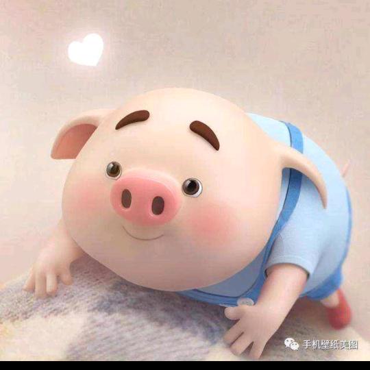 ا🎭憨憨豬蹄趾
