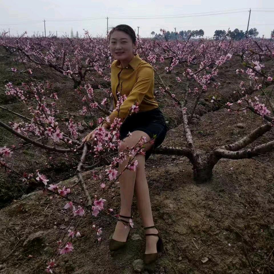 丽🌸