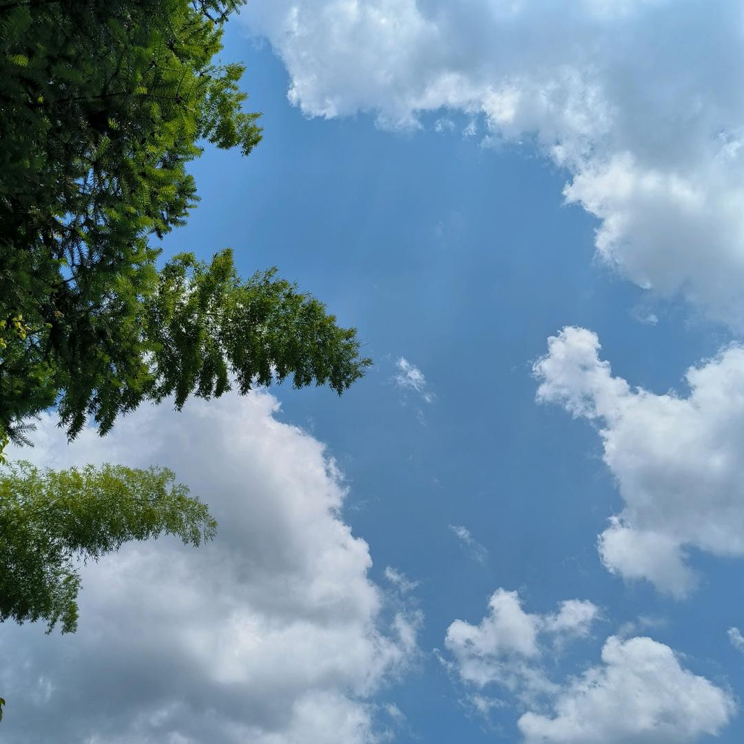 潇潇暮雨