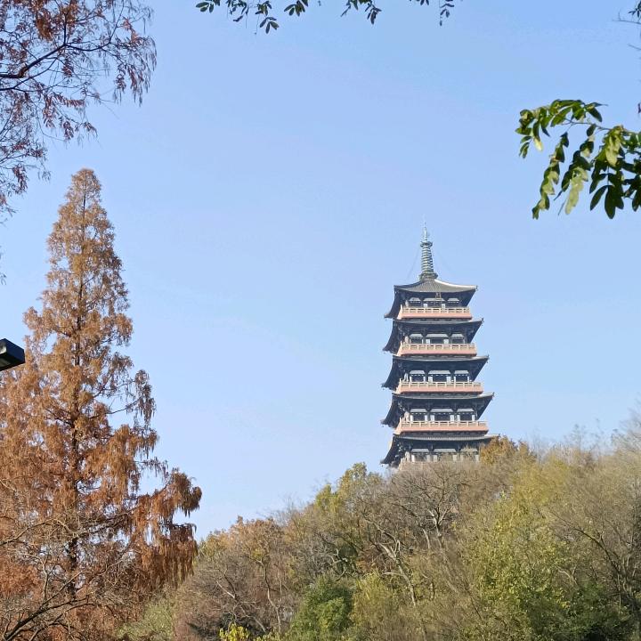 豫丰粮油