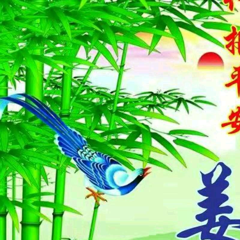 一般的我