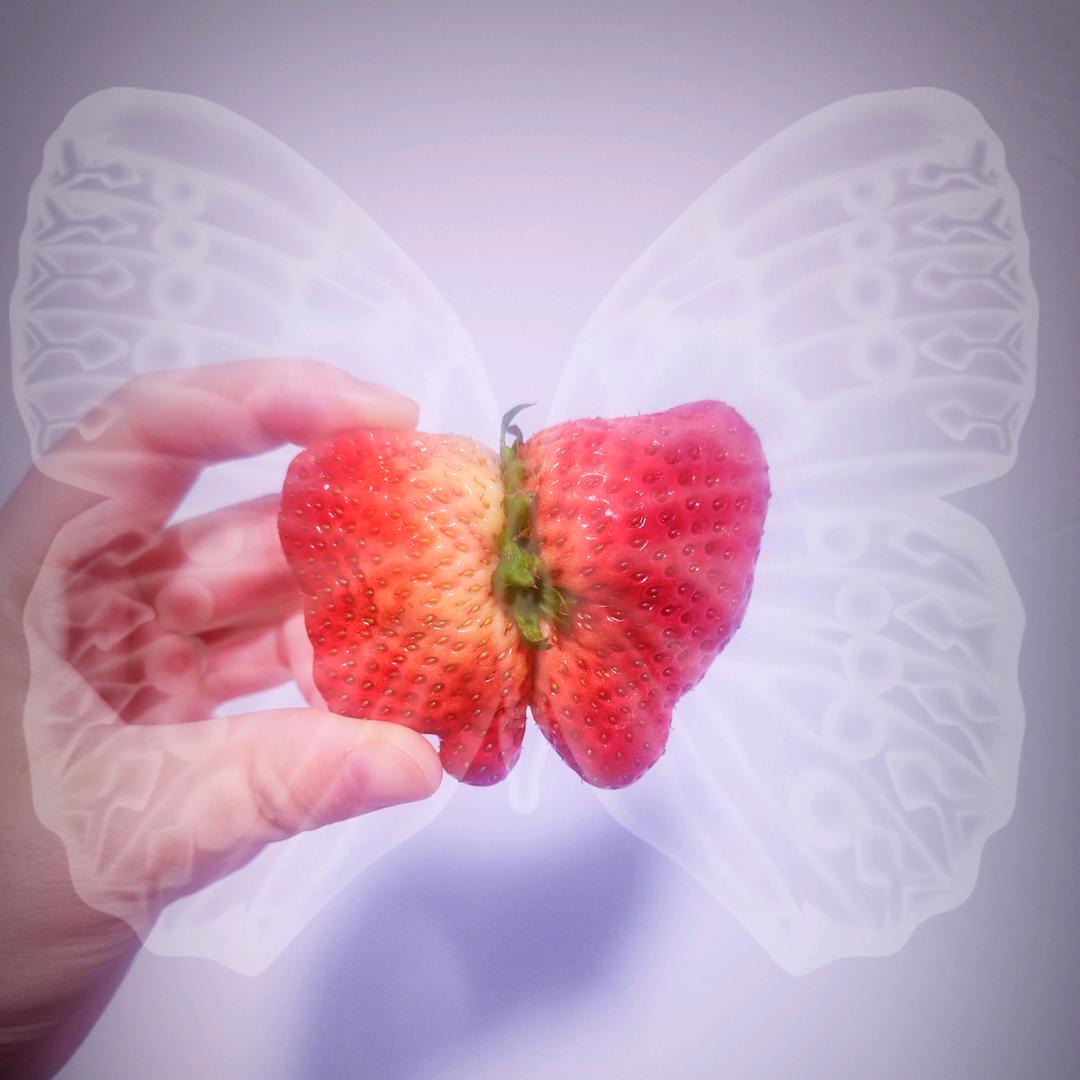 🎊🥳🐶🐯🚘🏠🌻✨