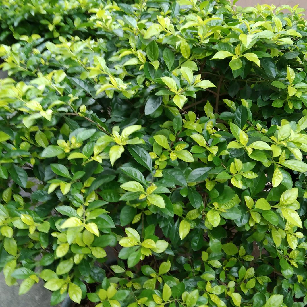 用户2042004987495梦梦