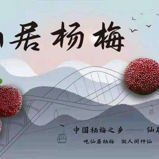 杨梅爱生活
