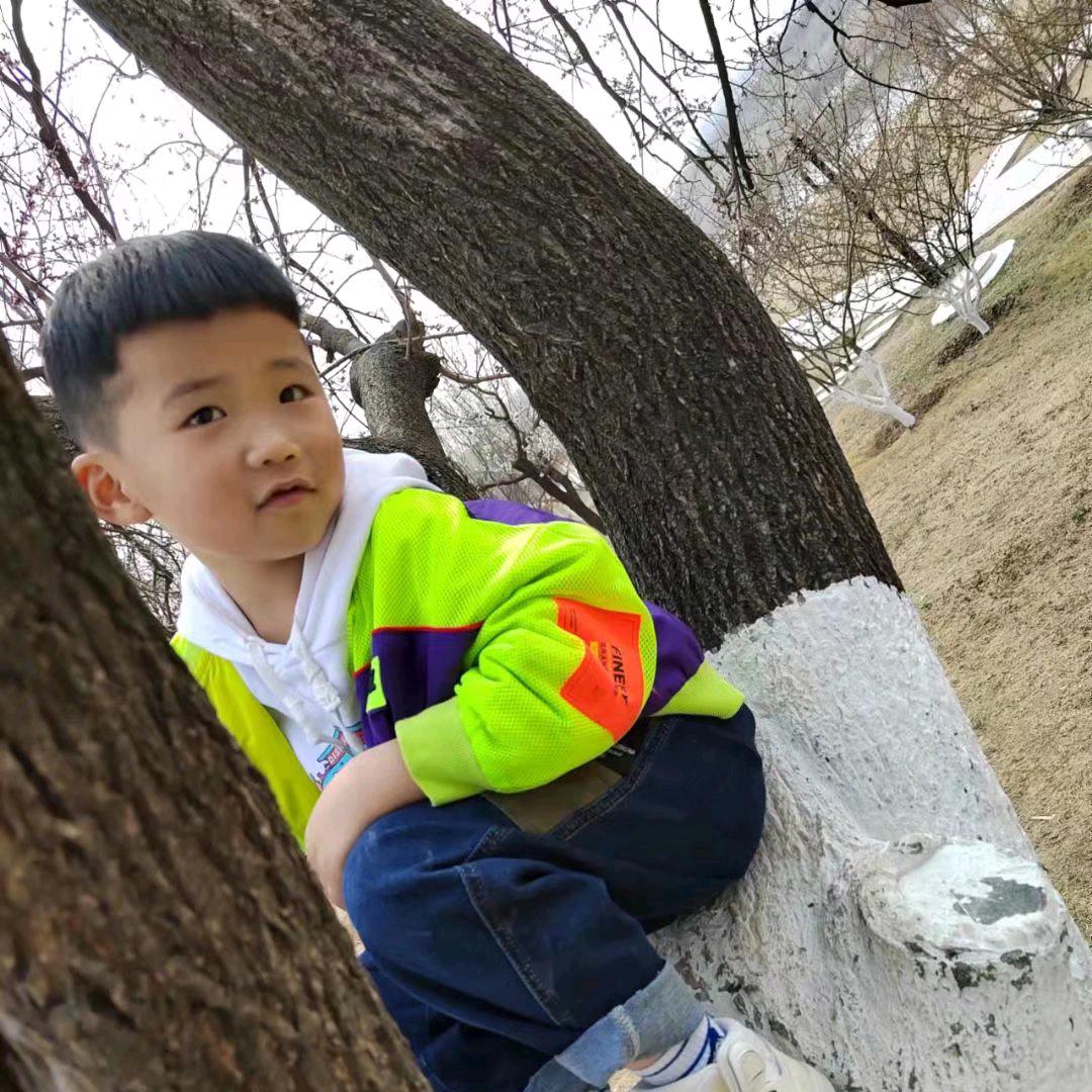 篇章
