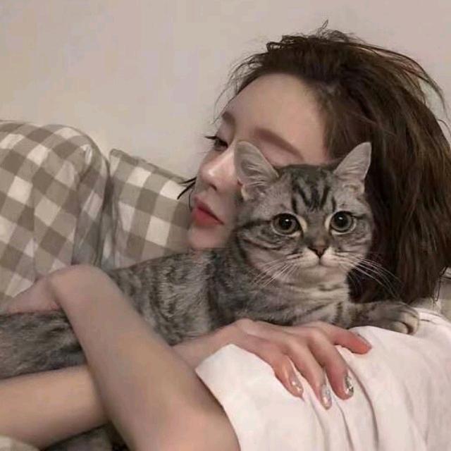 一卷小羊