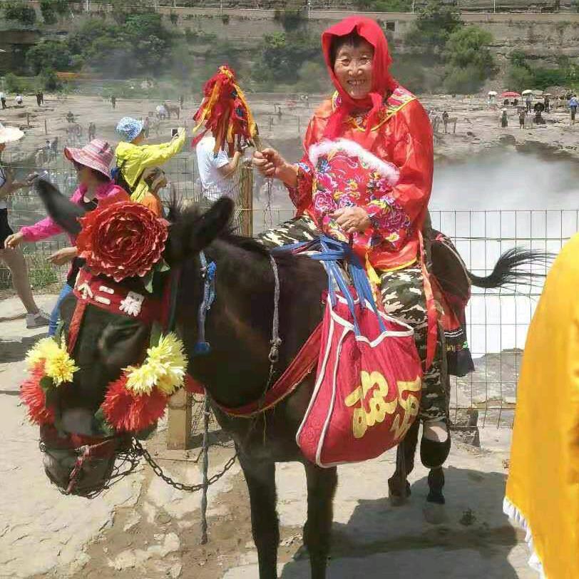 柠夏花开