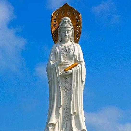马海棠