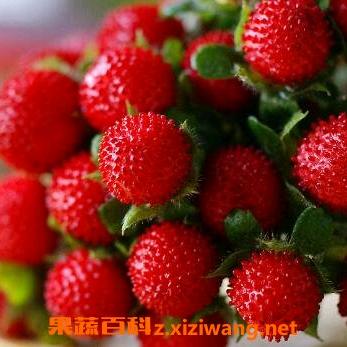 天元