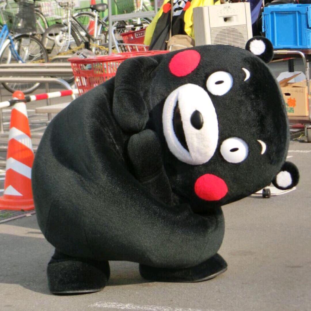 熊本熊本熊