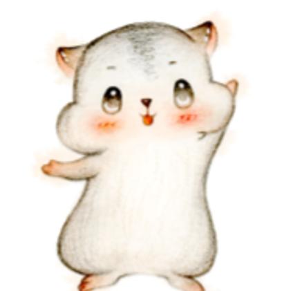 程序员小灰