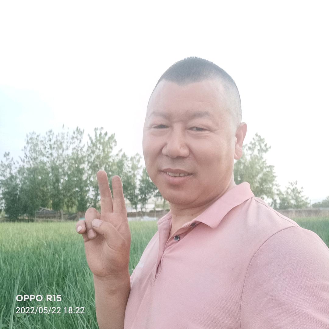 占红