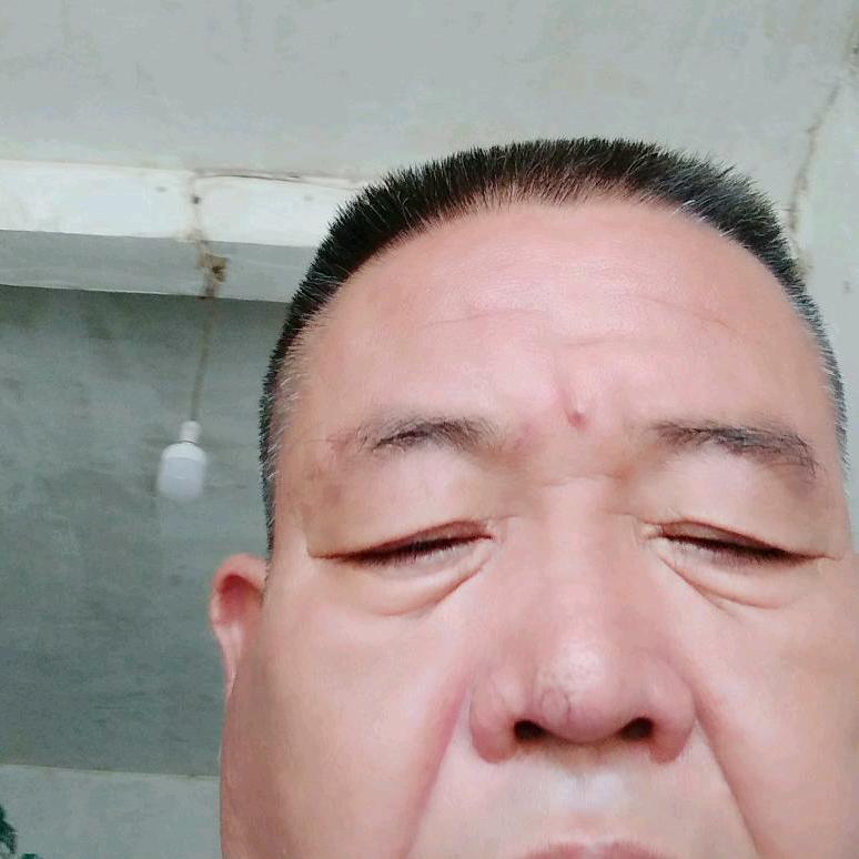 sjdj我雪山飞孤