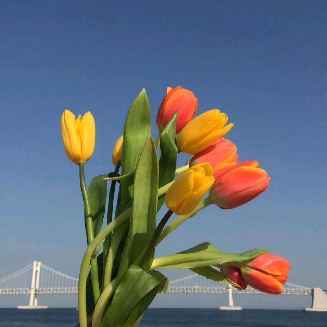 💞᭄ᩚ꯭遇💞᭄ᩚ꯭见💖