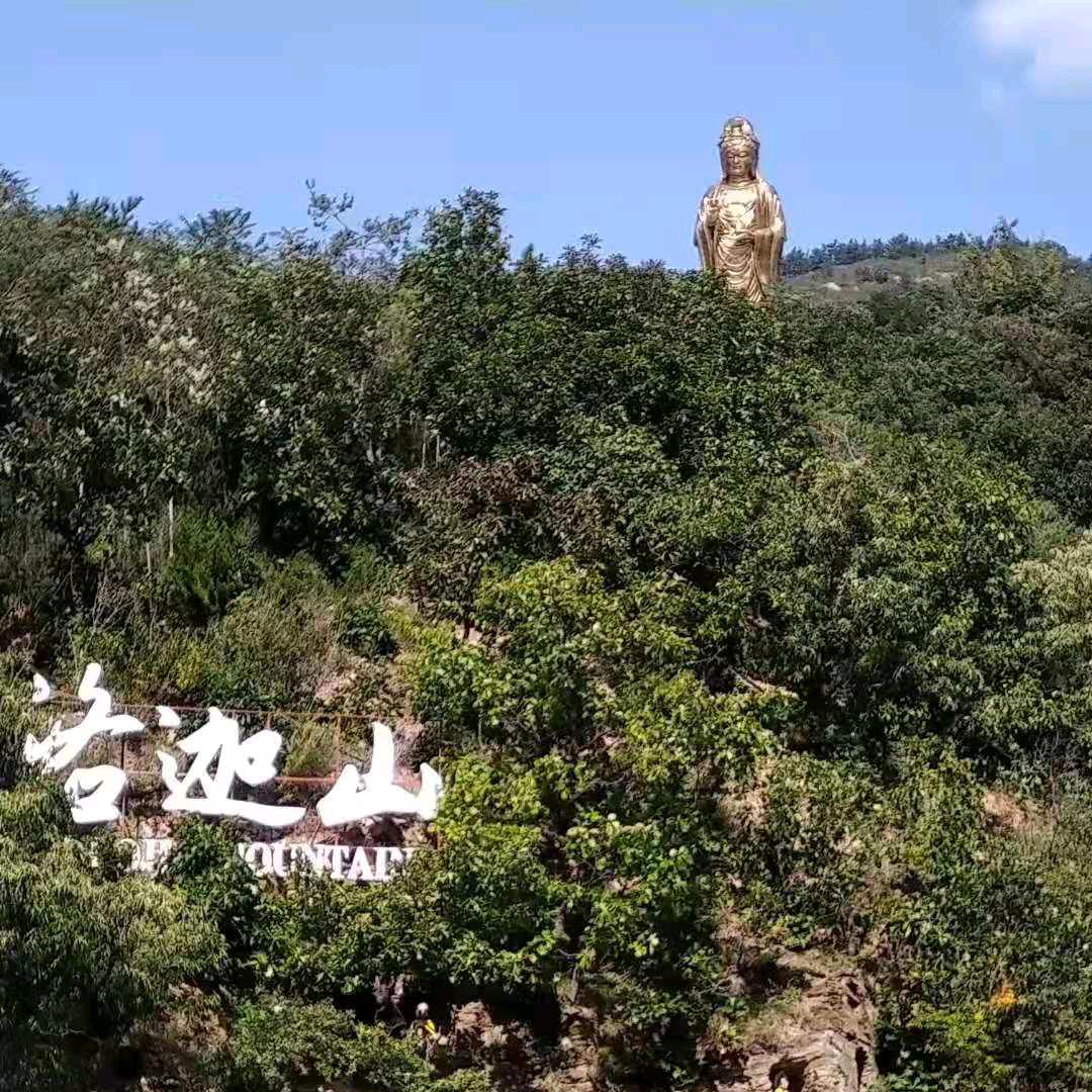 抗癌路上的老金