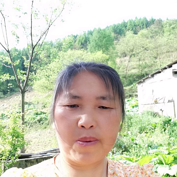 赵桂梅