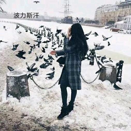 小迪❣️
