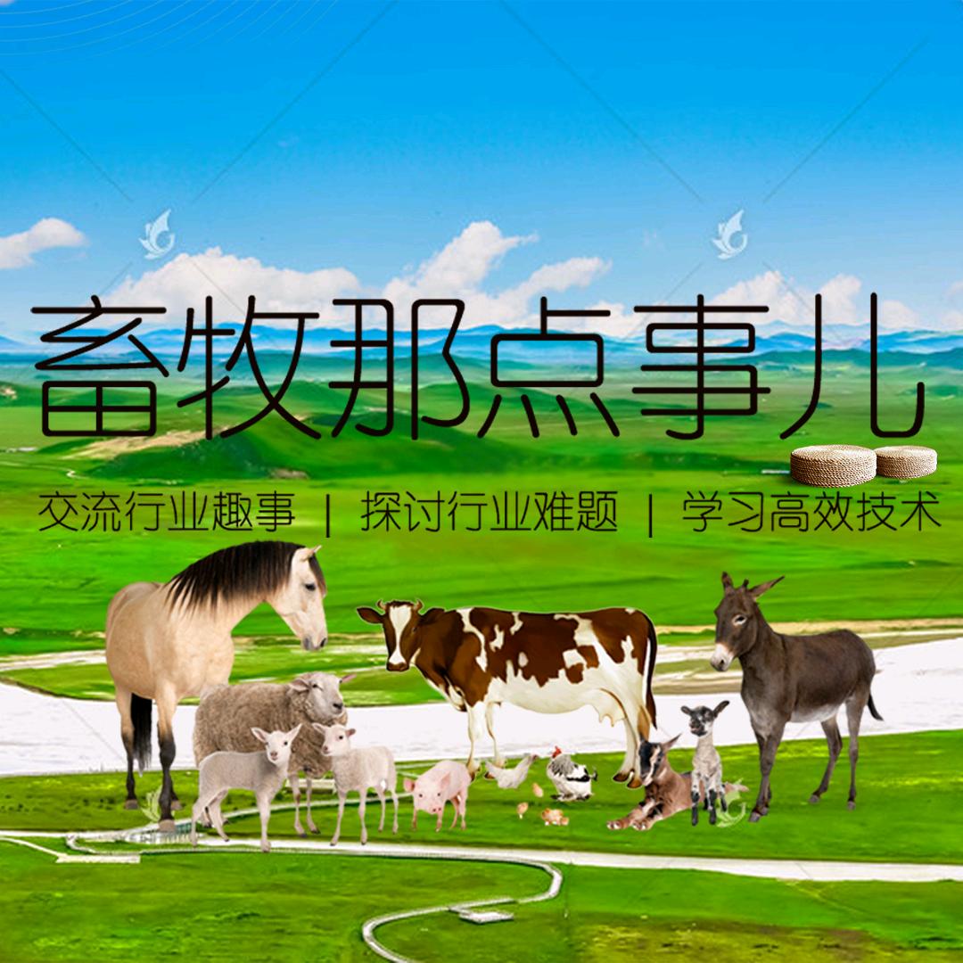 畜牧那点事儿