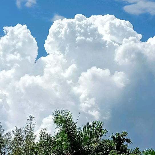 牵着蚂蚁逛大街