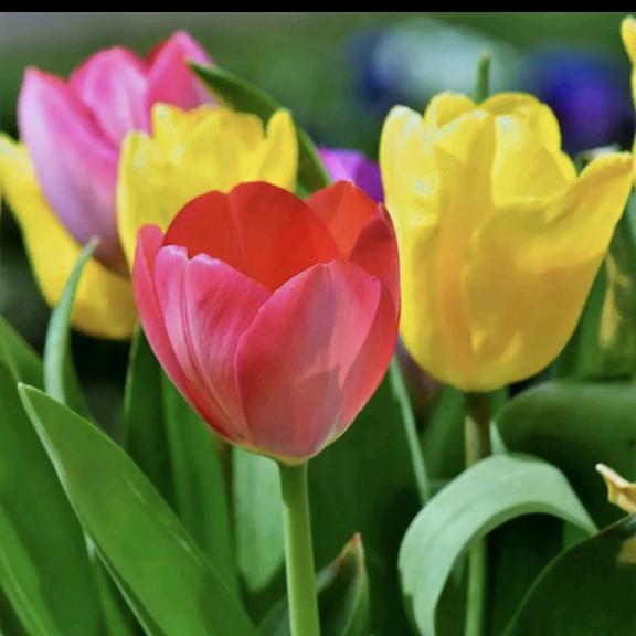 记录生活 记录你