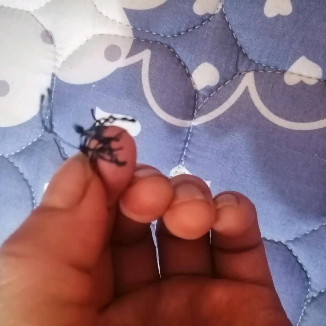 小艳