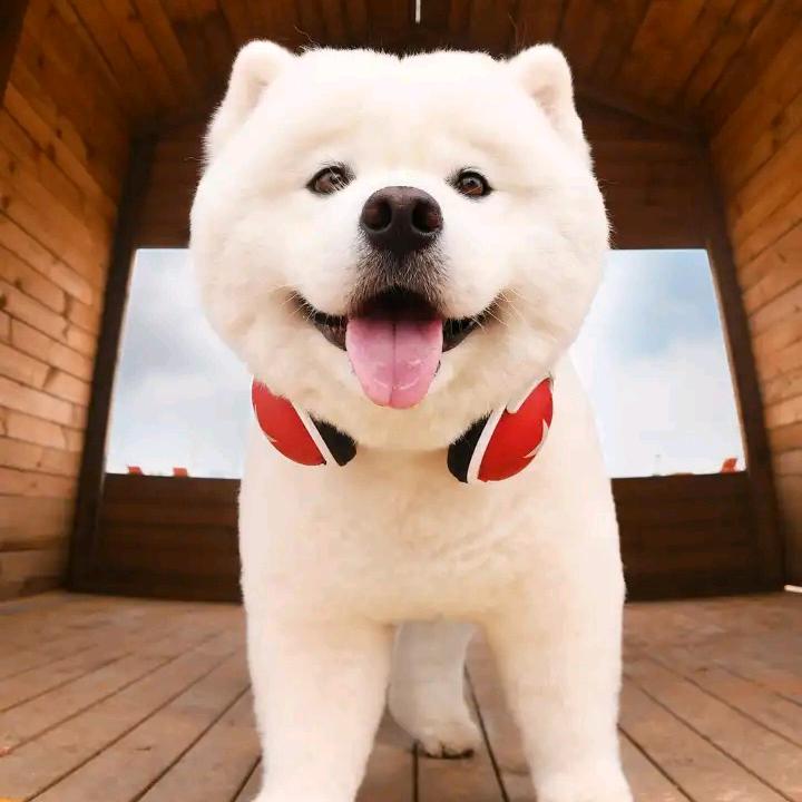 玄冥生生