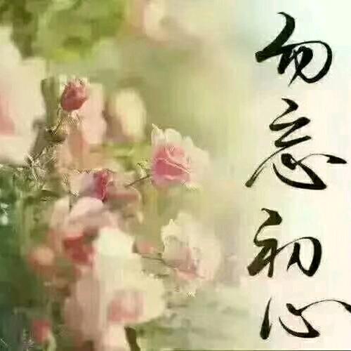 紫葡萄
