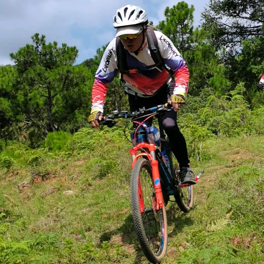 霖系29世 岳金城