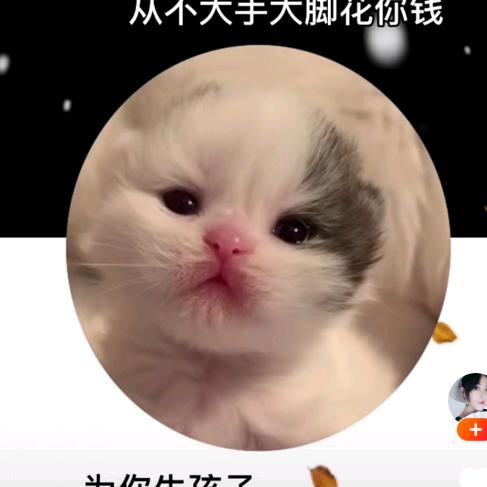 Yangzq