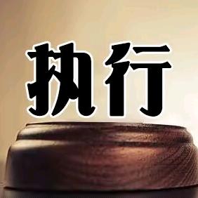 强制执行律师李阅桐