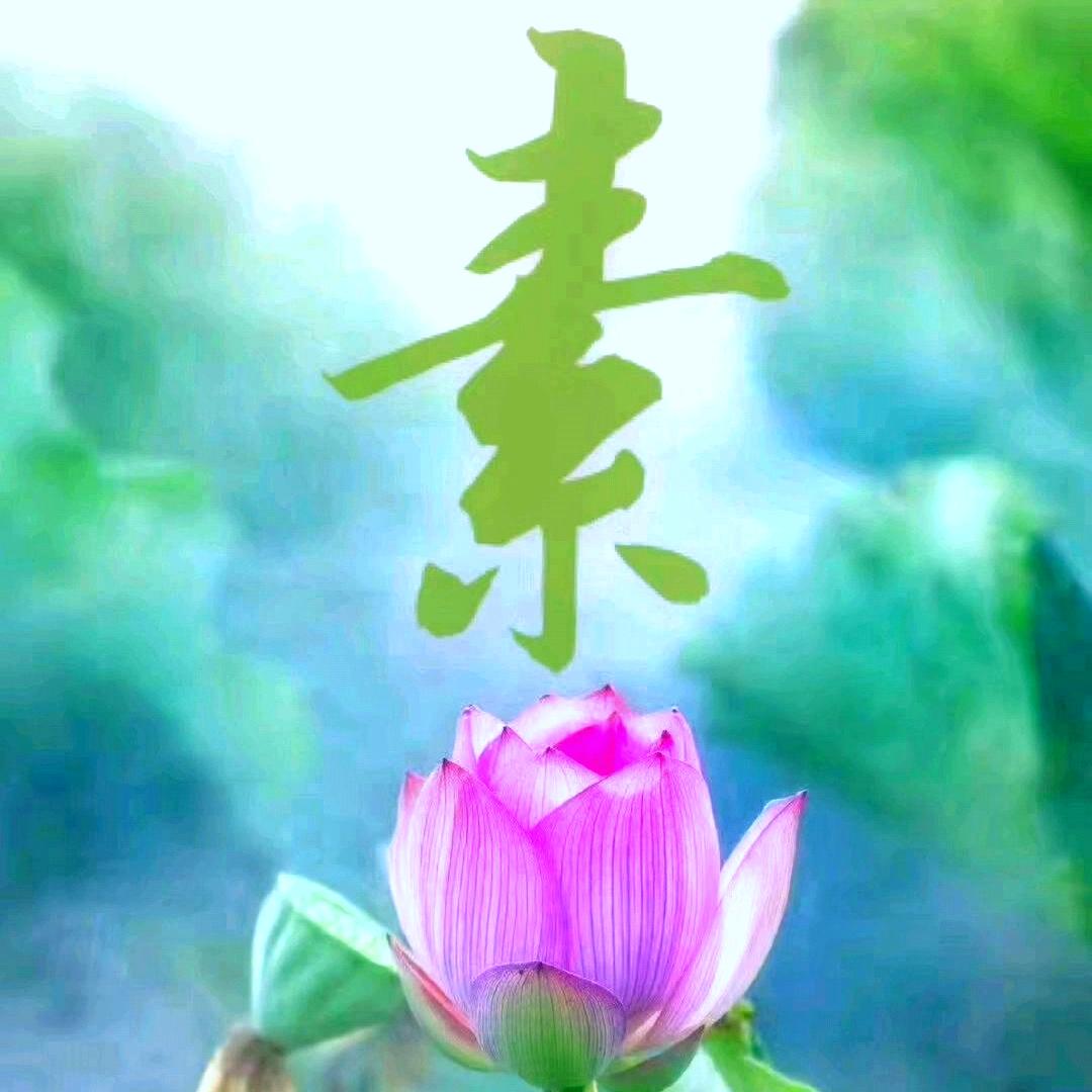 聚善缘素食