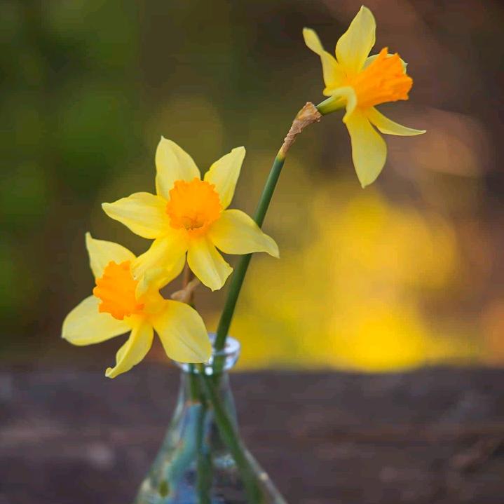 百顺激光焊氩弧焊