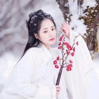 百合的眼泪
