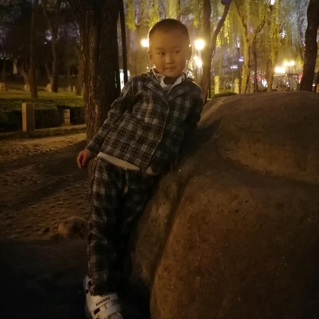 刘杨