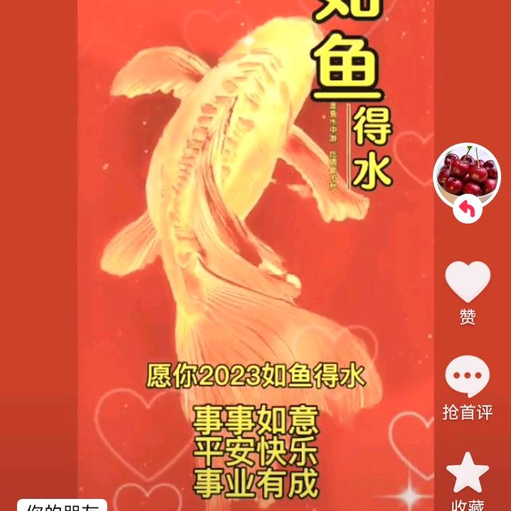 淡然如水