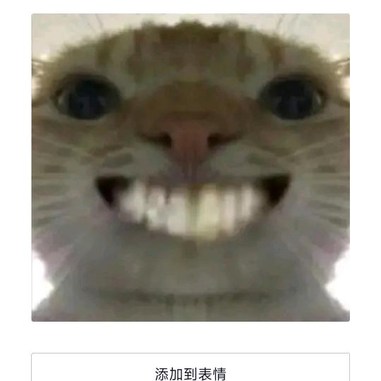 六六