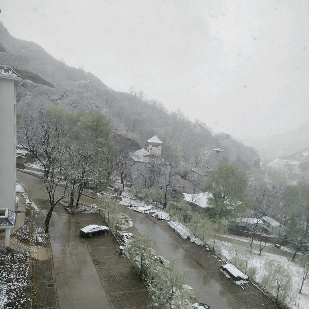 冷月傲雪