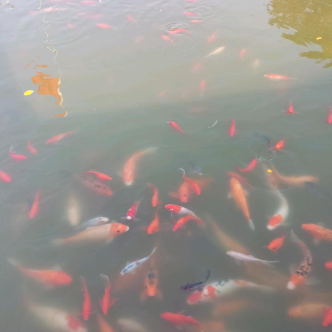 沧桑巨变
