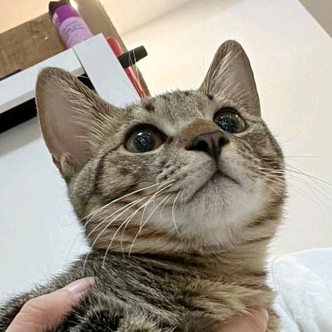 青°