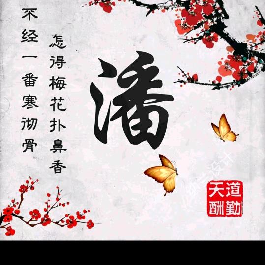 潘XY