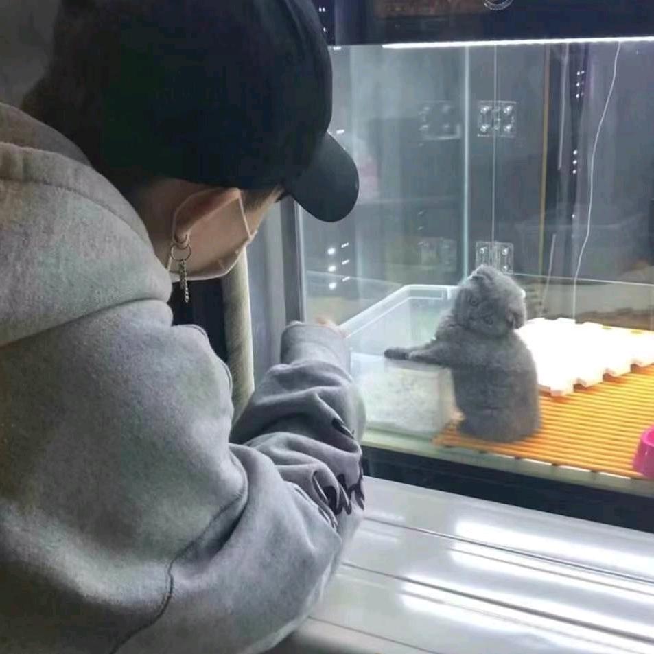 @悟