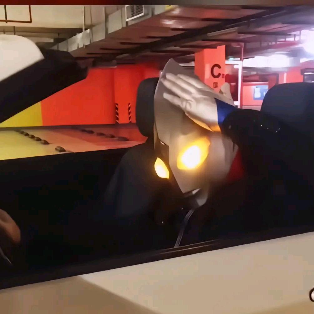 我家猫叫大炮🐱