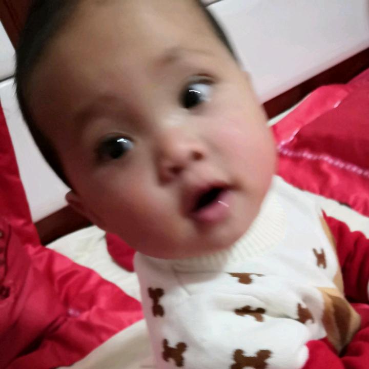 万安饭店（1+1=6龙凤胎）