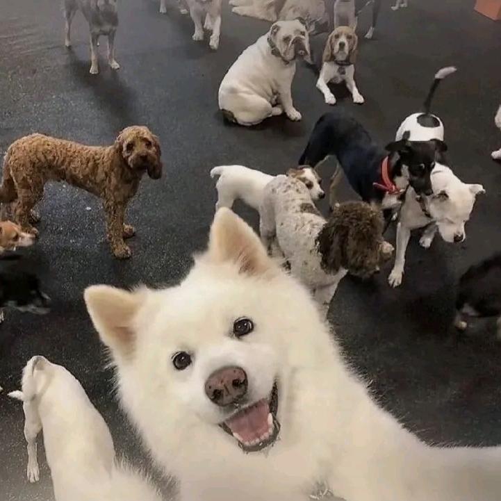 🌈一点点🌈