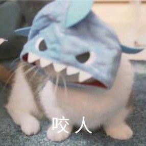 起什么名字好呢-