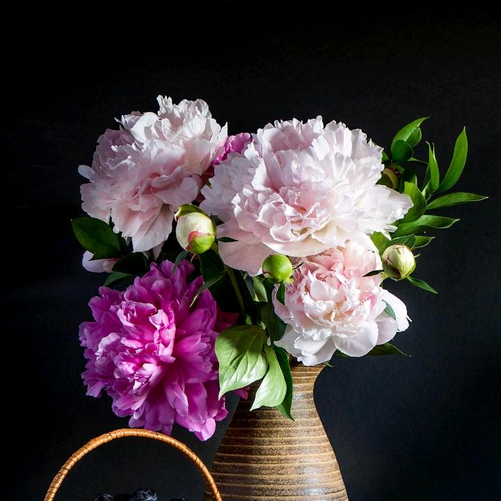 把*^*心*^_^*归*零*^_^*