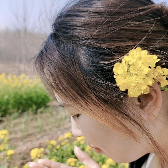 啊园分享好轮胎