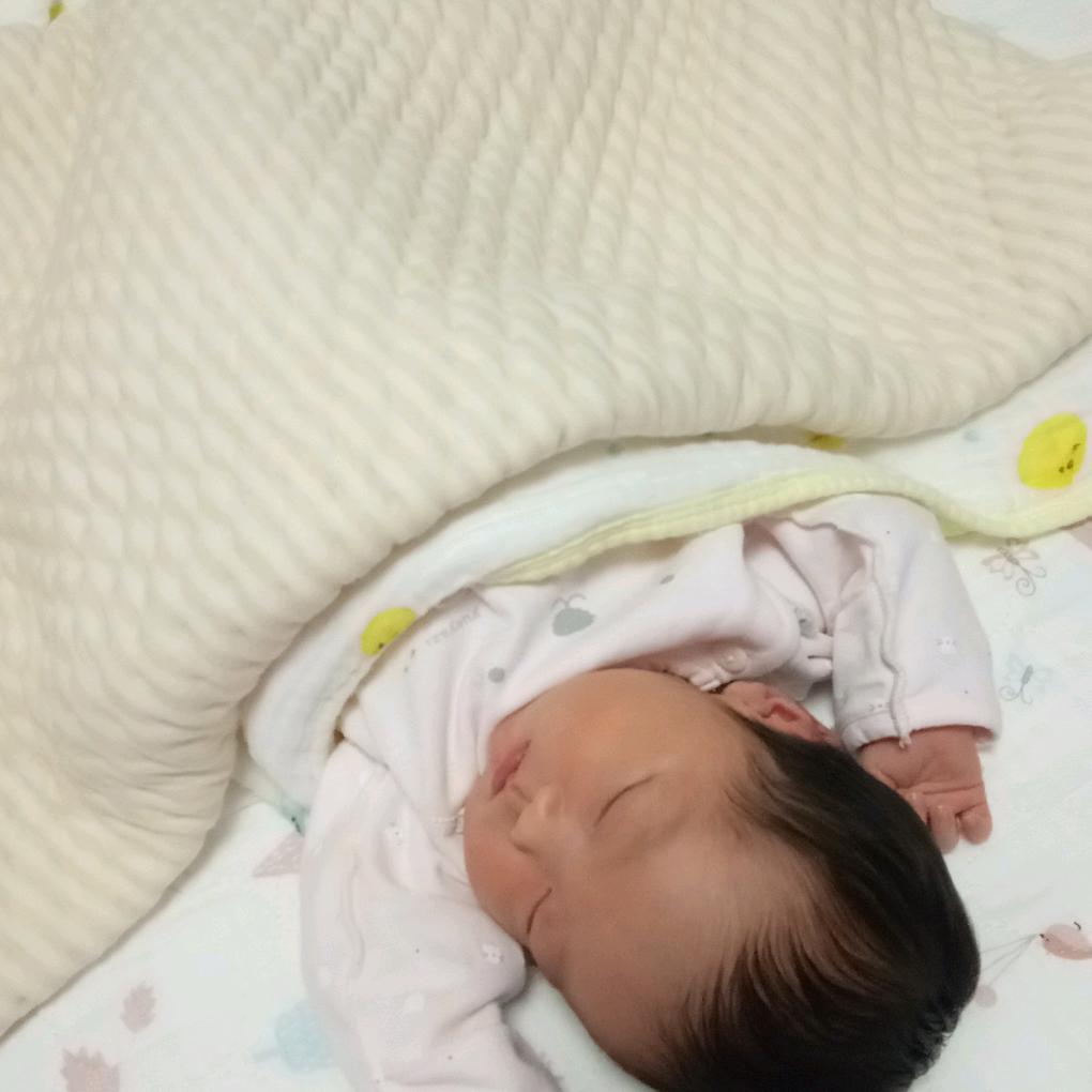 爱好养鸡