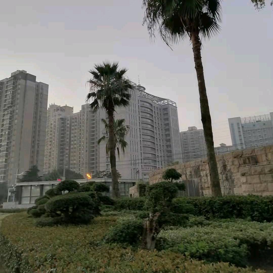 我的家
