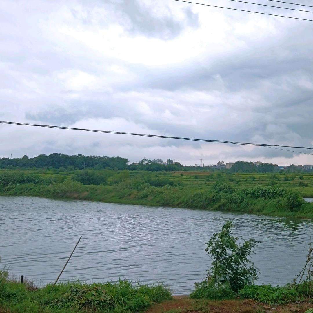 广东EPS颗粒源头工厂